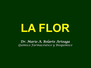 LA FLOR
Dr. Mario A. Bolarte Arteaga
Químico Farmacéutico y Bioquímico
 