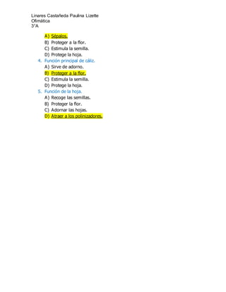 Linares Castañeda Paulina Lizette
Ofimática
3°A
A) Sépalos.
B) Proteger a la flor.
C) Estimula la semilla.
D) Protege la hoja.
4. Función principal de cáliz.
A) Sirve de adorno.
B) Proteger a la flor.
C) Estimula la semilla.
D) Protege la hoja.
5. Función de la hoja.
A) Recoge las semillas.
B) Proteger la flor.
C) Adornar las hojas.
D) Atraer a los polinizadores.
 