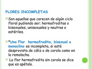 FLORES INCOMPLETAS
 Son aquellas que carecen de algún ciclo
floral pudiendo ser; hermafroditas o
bisexuales, unisexuales y neutras o
estériles.
 *Una Flor hermafrodita, bisexual o
monoclina es incompleta, si está
desprovista de cáliz o de corola como en
la remolacha.
 La flor hermafrodita sin corola se dice
que es apétala.
 