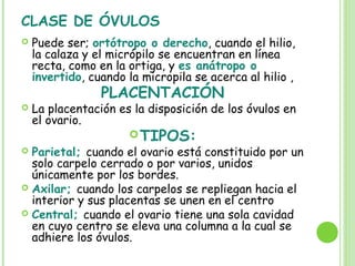 CLASE DE ÓVULOS
 Puede ser; ortótropo o derecho, cuando el hilio,
la calaza y el micrópilo se encuentran en línea
recta, como en la ortiga, y es anátropo o
invertido, cuando la micropila se acerca al hilio ,
PLACENTACIÓN
 La placentación es la disposición de los óvulos en
el ovario.
TIPOS:
 Parietal; cuando el ovario está constituido por un
solo carpelo cerrado o por varios, unidos
únicamente por los bordes.
 Axilar; cuando los carpelos se repliegan hacia el
interior y sus placentas se unen en el centro
 Central; cuando el ovario tiene una sola cavidad
en cuyo centro se eleva una columna a la cual se
adhiere los óvulos.
 
