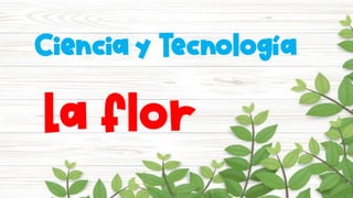 Ciencia y Tecnología
La flor
 