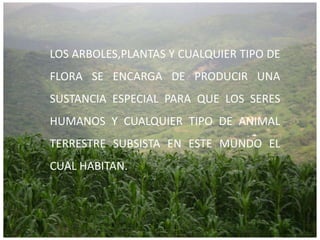 LOS ARBOLES,PLANTAS Y CUALQUIER TIPO DE FLORA SE ENCARGA DE PRODUCIR UNA SUSTANCIA ESPECIAL PARA QUE LOS SERES HUMANOS Y CUALQUIER TIPO DE ANIMAL TERRESTRE SUBSISTA EN ESTE MUNDO EL CUAL HABITAN.