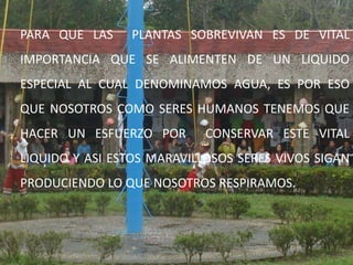 PARA QUE LAS  PLANTAS SOBREVIVAN ES DE VITAL IMPORTANCIA QUE SE ALIMENTEN DE UN LIQUIDO ESPECIAL AL CUAL DENOMINAMOS AGUA, ES POR ESO QUE NOSOTROS COMO SERES HUMANOS TENEMOS QUE HACER UN ESFUERZO POR  CONSERVAR ESTE VITAL LIQUIDO Y ASI ESTOS MARAVILLOSOS SERES VIVOS SIGAN PRODUCIENDO LO QUE NOSOTROS RESPIRAMOS. 