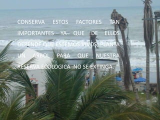 CONSERVA ESTOS FACTORES TAN IMPORTANTES YA QUE DE ELLOS DEPENDE QUE ESTEMOS VIVOS, PLANTA UN ARBOL PARA QUE NUESTRA RESERVA ECOLOGICA  NO SE EXTINGA.
