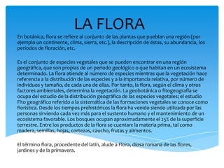 LA FLORA
En botánica, flora se refiere al conjunto de las plantas que pueblan una región (por
ejemplo un continente, clima, sierra, etc.), la descripción de éstas, su abundancia, los
períodos de floración, etc.
Es el conjunto de especies vegetales que se pueden encontrar en una región
geográfica, que son propias de un periodo geológico o que habitan en un ecosistema
determinado. La flora atiende al número de especies mientras que la vegetación hace
referencia a la distribución de las especies y a la importancia relativa, por número de
individuos y tamaño, de cada una de ellas. Por tanto, la flora, según el clima y otros
factores ambientales, determina la vegetación. La geobotánica o fitogeografía se
ocupa del estudio de la distribución geográfica de las especies vegetales; el estudio
Fito geográfico referido a la sistemática de las formaciones vegetales se conoce como
florística. Desde los tiempos prehistóricos la flora ha venido siendo utilizada por las
personas sirviendo cada vez más para el sustento humano y el mantenimiento de un
ecosistema favorable. Los bosques ocupan aproximadamente el 25% de la superficie
terrestre. Entre los productos de la flora se cuentan: la materia prima, tal como
madera, semillas, hojas, cortezas, caucho, frutas y alimentos.
El término flora, procedente del latín, alude a Flora, diosa romana de las flores,
jardines y de la primavera.
 