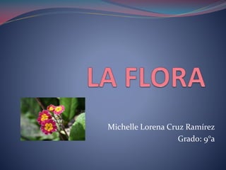 Michelle Lorena Cruz Ramírez
Grado: 9°a
 