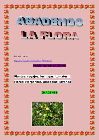 Las Merchanas 
https://www.youtube.com/watch?v=f-tzUMUJc14 PLANTAS DE LA ZONA 
Plantas: regajos, lechugas, tomates… Flores: Margaritas, amapolas, lavanda 
IMAGENES 
 