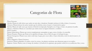 Categorías de Flora
•Flora Terrestre:
Árboles: Plantas de tallo leñoso que suelen ser más altas y duraderas. Ejemplos incluyen el roble, el pino y la secuoya.
Arbustos: Plantas leñosas de menor tamaño que los árboles, como el sauce y el matorral de espino.
Hierbas: Plantas de tallo suave que mueren al final de la temporada. Ejemplos son el trigo, el maíz y las plantas de jardín.
Musgos y Helechos: Plantas no vasculares que suelen crecer en lugares húmedos y sombríos.
•Flora Acuática:
Plantas Subacuáticas: Plantas que crecen completamente sumergidas en agua, como el elodea y la ceratofila.
Plantas Flotantes: Plantas que flotan en la superficie del agua, como el lirio de agua y la lechuga de agua.
Plantas Emergentes: Plantas cuyas raíces están bajo el agua, pero cuyos tallos y hojas sobresalen, como la caña de juncos y la
espadaña.
•Flora Adaptada a Climas Extremos:
Desiertos: Plantas adaptadas a la aridez, como los cactus y las plantas suculentas, que almacenan agua en sus tejidos.
Regiones Árticas: Plantas como el musgo de reindeer y la hierba de los glaciares, que pueden sobrevivir en condiciones frías y secas.
 
