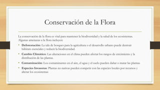 Conservación de la Flora
La conservación de la flora es vital para mantener la biodiversidad y la salud de los ecosistemas.
Algunas amenazas a la flora incluyen:
• Deforestación: La tala de bosques para la agricultura o el desarrollo urbano puede destruir
hábitats esenciales y reducir la biodiversidad.
• Cambio Climático: Las alteraciones en el clima pueden afectar los rangos de crecimiento y la
distribución de las plantas.
• Contaminación: Los contaminantes en el aire, el agua y el suelo pueden dañar o matar las plantas.
• Especies Invasoras: Plantas no nativas pueden competir con las especies locales por recursos y
alterar los ecosistemas
 