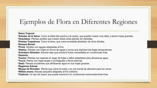 Ejemplos de Flora en Diferentes Regiones
•Selva Tropical:
•Árboles de la Selva: Como el árbol del caucho y la caoba, que pueden crecer muy altos y tienen hojas grandes.
•Orquídeas: Plantas epífitas que crecen sobre otras plantas sin dañarlas.
•Plantas Trepadoras: Como la liana, que crece enredada alrededor de otros árboles.
•Bosque Boreal:
•Pinos: Árboles con agujas adaptadas al frío.
•Abetos: Árboles con hojas en forma de aguja y conos que soportan las bajas temperaturas.
•Arándano Silvestre: Arbusto bajo que produce frutos comestibles en condiciones frías.
•Desierto:
•Cactus: Plantas con espinas en lugar de hojas y tallos adaptados para almacenar agua.
•Yucca: Planta con hojas largas y puntiagudas y flores blancas.
•Sedo: Plantas suculentas que almacenan agua en sus hojas gruesas.
•Regiones Árticas:
•Musgo de Reindeer: Planta que cubre el suelo y es una fuente de alimento para los renos.
•Willow enano: Arbusto pequeño adaptado al frío extremo.
•Cladonia: Un tipo de líquen que puede sobrevivir en condiciones extremadamente frías.
 