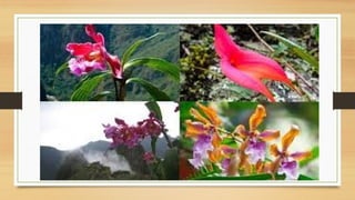 La Flora información e importancia :v.pptx