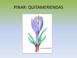 PINAR: QUITAMERIENDAS
 