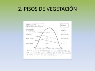2. PISOS DE VEGETACIÓN
 