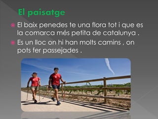  El baix penedes te una flora tot i que es
la comarca més petita de catalunya .
 Es un lloc on hi han molts camins , on
pots fer passejades .
 