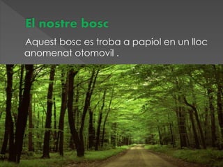 Aquest bosc es troba a papiol en un lloc
anomenat otomovil .
 
