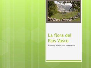 La flora del
País Vasco
Plantas y árboles mas importantes
 