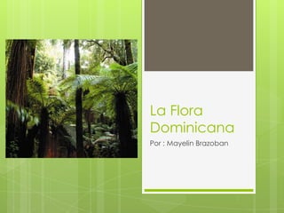 La Flora Dominicana Por : Mayelin Brazoban 