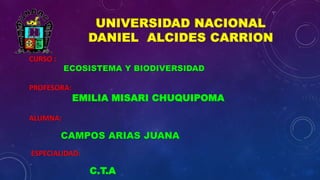 UNIVERSIDAD NACIONAL 
DANIEL ALCIDES CARRION 
CURSO : 
ECOSISTEMA Y BIODIVERSIDAD 
PROFESORA: 
EMILIA MISARI CHUQUIPOMA 
ALUMNA: 
CAMPOS ARIAS JUANA 
ESPECIALIDAD: 
C.T.A 
 