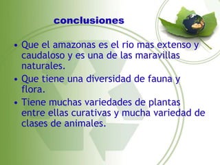 conclusiones

• Que el amazonas es el rio mas extenso y
  caudaloso y es una de las maravillas
  naturales.
• Que tiene una diversidad de fauna y
  flora.
• Tiene muchas variedades de plantas
  entre ellas curativas y mucha variedad de
  clases de animales.
 