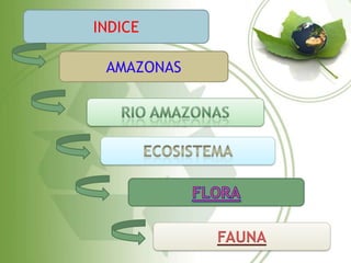 INDICE

 AMAZONAS




            FAUNA
 