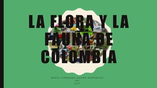 LA FLORA Y LA
FAUNA DE
COLOMBIA
M A R Í A F E R N A N D A D U R A N R O D R Í G U E Z
1 0 C
2 0 1 7
 