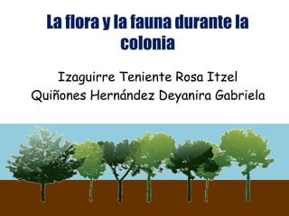La flora y la fauna durante la
colonia
Izaguirre Teniente Rosa Itzel
Quiñones Hernández Deyanira Gabriela
 