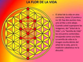 LA FLOR DE LA VIDA


               o El árbol de la vida en otra
                 corriente, tiene 12 puntos y
                 no 10; hay dos puntos mas,
                 uno arriba y otro abajo.
               o Cuando usted superpone las
                 imágenes, del “árbol de la
                 Vida“, y la “Semilla de Vida”
                 las encuentra contenidas;
                 encajando como una llave.
               o La semilla de vida es la
                 imagen oculta detrás del
                 árbol de la vida, pero la
                 tradición cabalística no la
                 discutió.
 