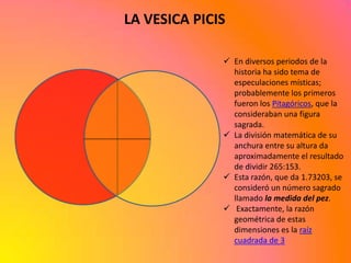 LA VESICA PICIS

               En diversos periodos de la
                historia ha sido tema de
                especulaciones místicas;
                probablemente los primeros
                fueron los Pitagóricos, que la
                consideraban una figura
                sagrada.
               La división matemática de su
                anchura entre su altura da
                aproximadamente el resultado
                de dividir 265:153.
               Esta razón, que da 1.73203, se
                consideró un número sagrado
                llamado la medida del pez.
               Exactamente, la razón
                geométrica de estas
                dimensiones es la raíz
                cuadrada de 3
 