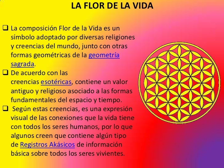 La flor de la vida La flor de la vida