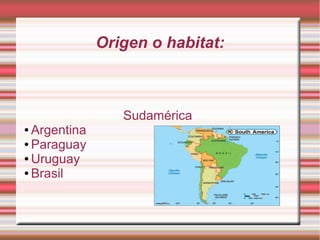 Origen o habitat:
Sudamérica
● Argentina
● Paraguay
● Uruguay
● Brasil
 