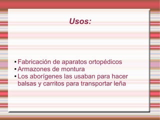 Usos:
● Fabricación de aparatos ortopédicos
● Armazones de montura
● Los aborígenes las usaban para hacer
balsas y carritos para transportar leña
 