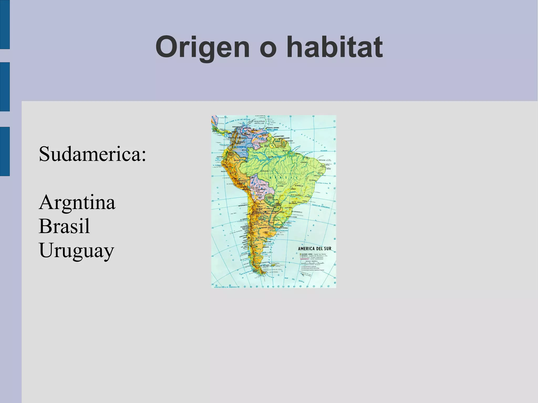 Origen o habitat
Sudamerica:
Argntina
Brasil
Uruguay