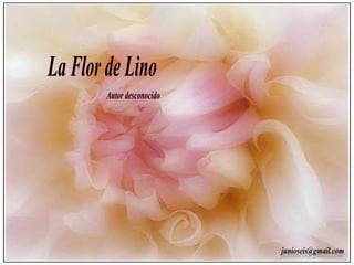La Flor de Lino Autor desconocido [email_address] 