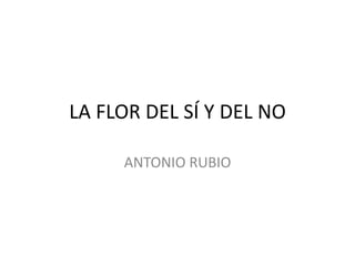 LA FLOR DEL SÍ Y DEL NO

     ANTONIO RUBIO
 