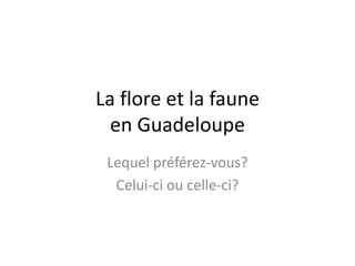 La flore et la faune
en Guadeloupe
Lequel préférez-vous?
Celui-ci ou celle-ci?

 