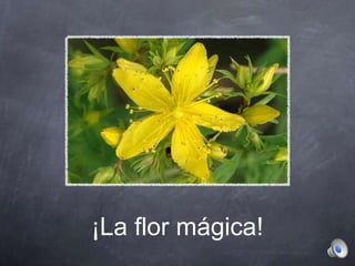 ¡La flor mágica!
 