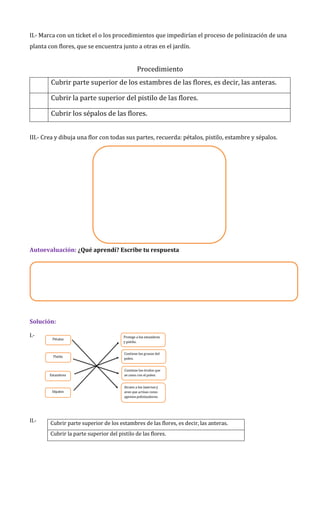 II.- Marca con un ticket el o los procedimientos que impedirían el proceso de polinización de una
planta con flores, que se encuentra junto a otras en el jardín.
Procedimiento
Cubrir parte superior de los estambres de las flores, es decir, las anteras.

Cubrir la parte superior del pistilo de las flores.
Cubrir los sépalos de las flores.
III.- Crea y dibuja una flor con todas sus partes, recuerda: pétalos, pistilo, estambre y sépalos.
Autoevaluación: ¿Qué aprendí? Escribe tu respuesta
Solución:
I.-
II.- Cubrir parte superior de los estambres de las flores, es decir, las anteras.
Cubrir la parte superior del pistilo de las flores.
 