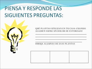QUÉ PLANTAS UTILIZAN EN TU CASA CUANDO ALGUIEN SUFRE UN DOLOR DE ESTOMAGO? ________________________________________________________________________________________________________________________________________________________________________________ DIBUJA ALGUNAS DE ESAS PLANTAS  