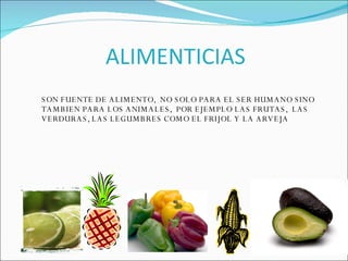 SON FUENTE DE ALIMENTO,  NO SOLO PARA EL SER HUMANO SINO TAMBIEN PARA LOS ANIMALES,  POR EJEMPLO LAS FRUTAS,  LAS VERDURAS, LAS LEGUMBRES COMO EL FRIJOL Y LA ARVEJA 