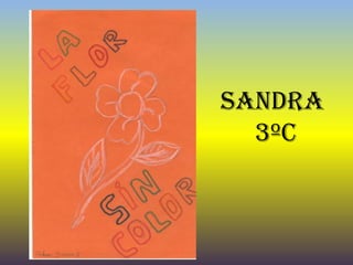 SANDRA
3ºC
 