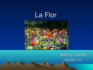 La Flor




                          Stefany Urquiola
Stefany17_7@hotmail.com     19.032.111
 