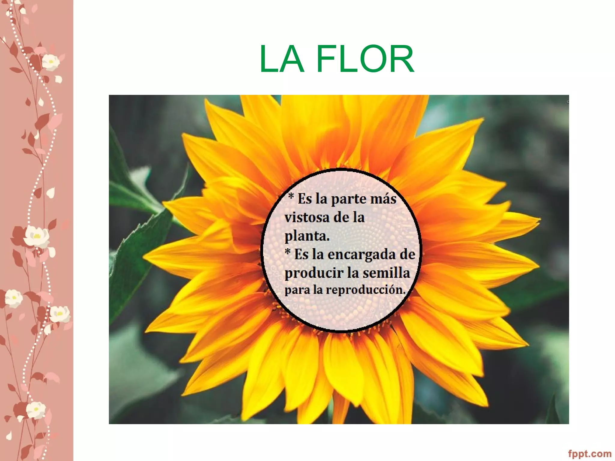 LA FLOR