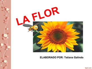 LA FLOR
ELABORADO POR: Tatiana Galindo
 