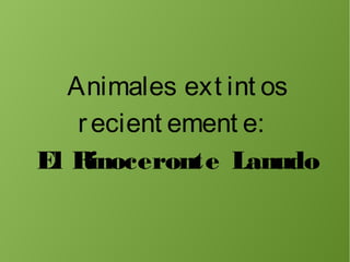 Animales ext int os
recient ement e:
El Rinoceronte Lanudo
 