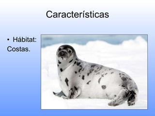 Características Hábitat: Costas. 