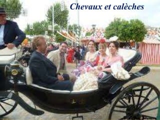 Chevaux et calèches
 