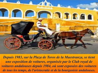 Depuis 1983, sur la Plaza de Toros de la Maestranza, se tient
une exposition de voitures, organisée par le Club royal de
voitures andalouses depuis 1984, où sont exposées des voitures
de tous les temps, de l'aristocratie et de la bourgeoisie andalouses.
 