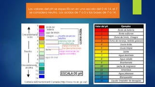 Los valores del pH se especifican en una escala del 0 Al 14. el 7
se considera neutro. Los acidos de 7 a 0 y las bases de 7 a 14.
 