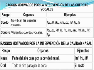 RASGOS MOTIVADOS POR LA INTERVENCIÓN DE LAS CUERDAS
VOCALES
Rasgo Órganos Ejemplos
Sordo
No vibran las cuerdas
vocales.
/p/, /t/, /k/, /ch/, /z/, /s/, /j/, /f/
Sonoro Vibran las cuerdas vocales.
/b/, /z/, /d/, /l/, /r/, /rr/, /m/, /n/, /ll/, /y/,
/g/
RASGOS MOTIVADOS POR LAINTERVENCIÓNDE LACAVIDADNASAL
Rasgo Órganos Ejemplos
Nasal Partedelairepasapor lacavidadnasal. /m/, /n/,/ñ/
Oral Todoelairepasapor laboca. El resto
 