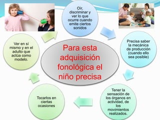 Oír,
discriminar y
ver lo que
ocurre cuando
emite ciertos
sonidos
Precisa saber
la mecánica
de producción
(cuando ello
sea posible)
Tener la
sensación de
los órganos en
actividad, de
los
movimientos
realizados.
Tocarlos en
ciertas
ocasiones
Ver en sí
mismo y en el
adulto que
actúa como
modelo.
Para esta
adquisición
fonológica el
niño precisa
 